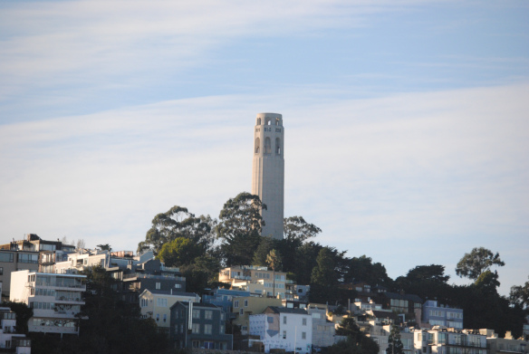 DSC_0377