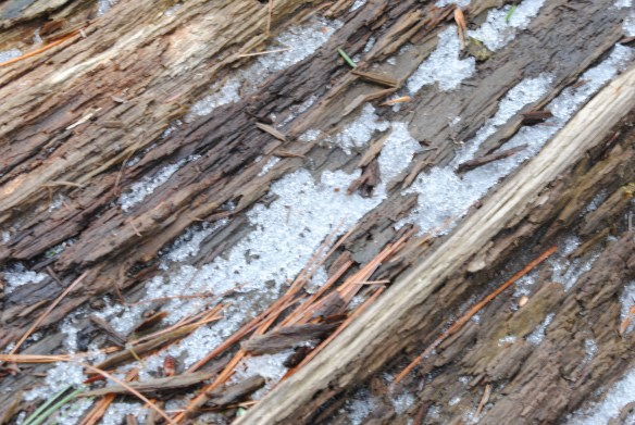 Shiny snow crystals.