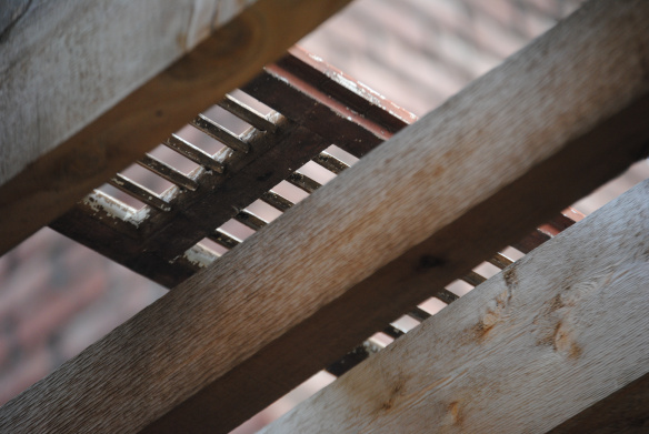 I never get tired of watching the light come through the pergola.