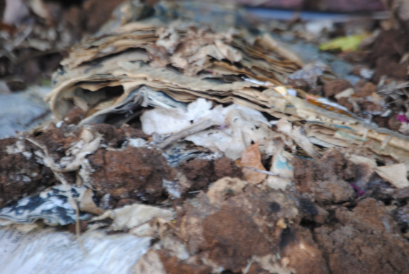 Where the device was found, with the white part protruding like a periscope.