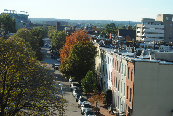 DSC_0447
