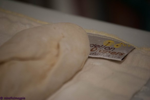 Bread rising on a cloth diaper.