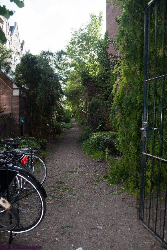 Amsterdam May 2015-58
