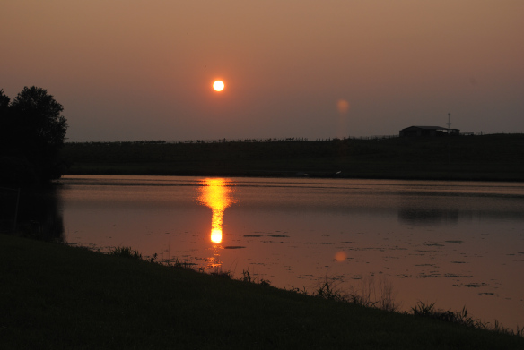 Evening at Shale Lake Winery