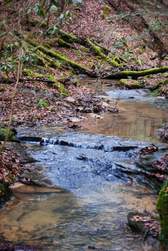 cumberland falls-152