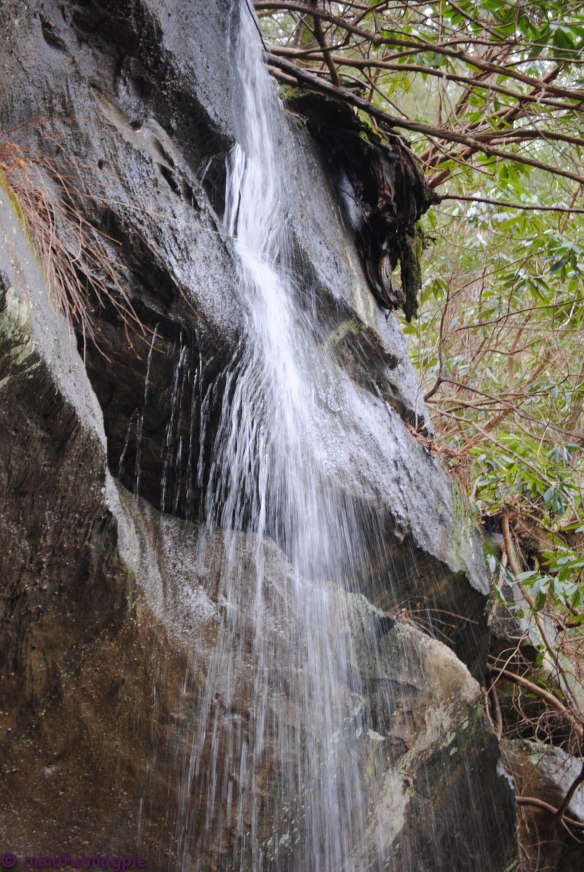 cumberland falls-178