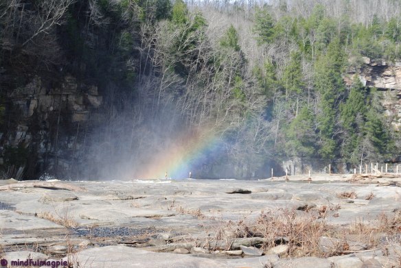 cumberland falls-79