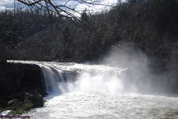 cumberland falls-88