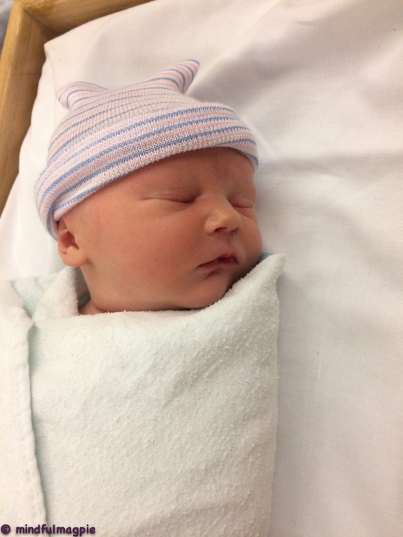 Baby Francis-2